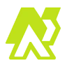 default FXServer FiveM server icon