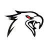 Hawk Los Angeles FiveM server icon