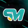 Test SM FiveM server icon