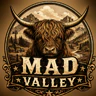 Mad Valley Beta Testing FiveM server icon