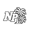 New Palms Roleplay FiveM server icon