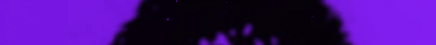 Wyze Roleplay FiveM server banner