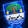 [DE] » Landkreis Eichenau | FiveM Roleplay | Deutsches Setting | Midcore FiveM server icon