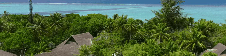 HavajuRP.LT | Kaimeliai | Ekonomika | Narkotikai | Verslai | Namai | RolePlay | PaletoBay | SandyShores | GrapeSeed | Lithuania | Lietuva | Gaujos | Modinti automobiliai | FiveM server banner