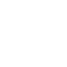 FlashLab FiveM server icon