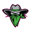 OUTLAW TEST SERVER FiveM server icon