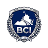 Blue Collar Interactive FiveM server icon