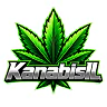 [Israel] KanabisIL -Israel Serious RP | https://discord.gg/xr4mAMUUF FiveM server icon