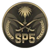 SP5 | مود الشرطة [discord.gg/SP5] FiveM server icon