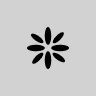 vivum FiveM server icon