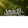 Nightfall City | Serious Roleplay FiveM server icon
