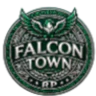 FALCON TOWN RP FiveM server icon