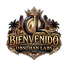 Obsidian Labs RP | El Salvador | Roleplay Latino FiveM server icon