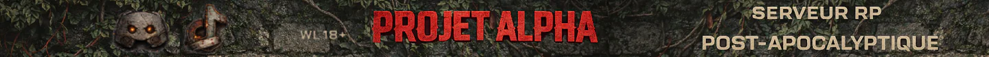 DEV PA FiveM server banner