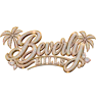 BEVERLY HILLS RP FiveM server icon