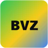 BVZ | Dev Local FiveM server icon