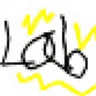 Lab Development Server FiveM server icon