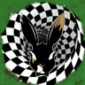 Rabbit Hole RP FiveM server icon