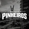 Pinheiros São Paulo FiveM server icon