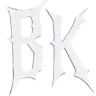 backflash roleplay FiveM server icon