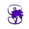 Solace 18+ FiveM server icon