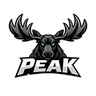 Peak Lall FiveM server icon