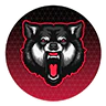 Wolf Umbra | Dev Server FiveM server icon