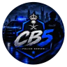 CB5 POLICE MOD | مود الشرطة FiveM server icon