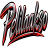 Pelilaakso 3.0! | Aukeaa pian FiveM server icon