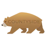 COUNTYSIDE FiveM server icon