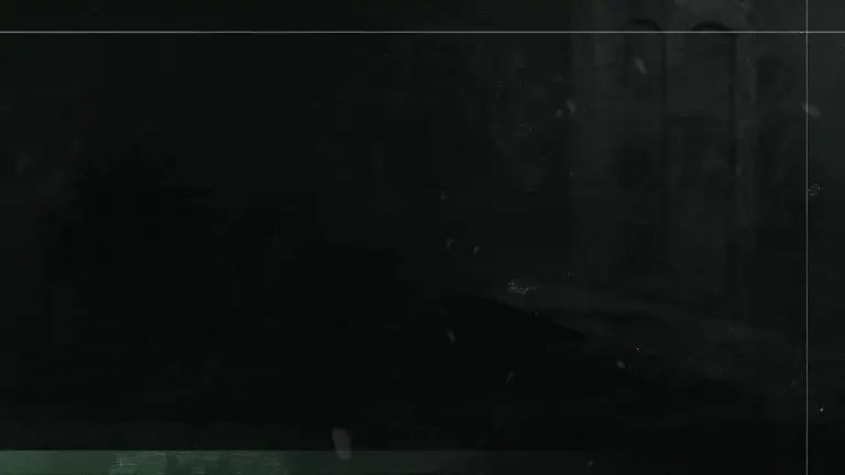 Falcon CFW FiveM server banner