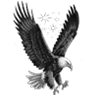 teste FiveM server icon