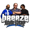 Breeze Roleplay | Development FiveM server icon