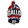 GALLO PINTO RP FiveM server icon