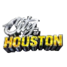 CITY OF HOUSTON🏝️|HOUSTON BASED SERVER|18+ SERIOUS RP COMMUNITY| FiveM server icon