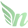 NiteRP Dev FiveM server icon