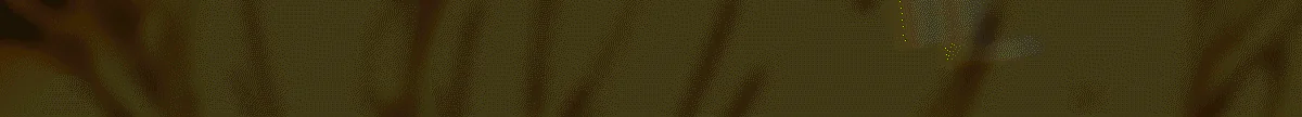 PortCity RolePlay | 🌴 FiveM server banner