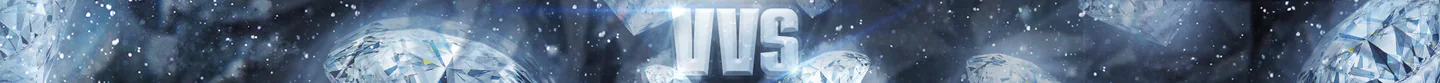 VVS FiveM server banner