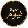 مدينة نيوم FiveM server icon