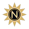 Nostalgi RP Dev | Svensk seriös roleplay FiveM server icon