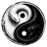 Yin Yang Rp FiveM server icon