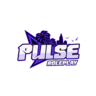 [ITA] PULSEW ROLEPLAY | NO WL|🌎 FiveM server icon