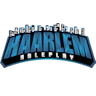 Haarlem Roleplay V2 FiveM server icon
