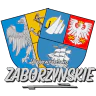 Województwo Zaborzyńskie FiveM server icon