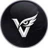 مدينة الرؤية FiveM server icon