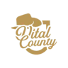 Vital County roleplay 2.0 FiveM server icon