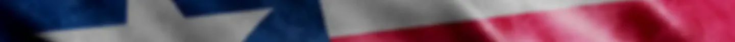 Lone Star Project! FiveM server banner
