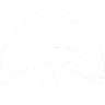 The Path FiveM server icon