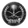 SW4 مود الشرطة FiveM server icon