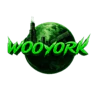 Woo York FiveM server icon